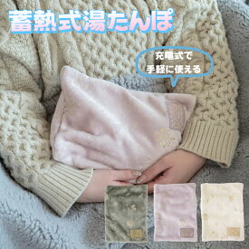 【レビュー特典】【送料無料】蓄熱式湯たんぽ 充電式 ゆたんぽ Feel Dreamy 電気湯たんぽ 急速蓄熱 お湯交換不要 エコ 省エネ 冷え対策 洗濯OK 携帯便利 18cm 24cm 暖房器具 CDF etendue フィールドリーミー 急速充電