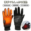 【楽天1位受賞】【送料無料★レビュー特典】電熱グローブ 薄手 充電式 3000mAh スマホ対応 3段階温度調整 デジタル表…