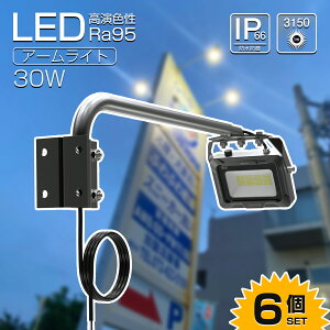 y6Zbgz GOODGOODS LED Ŕ  Ɩ 30W 3150lm cŔ 邢 F Ra95 F IP66 h ho ȃGl X|bgCg O Cg Ɩ X  L ̌^A[ HX VX 