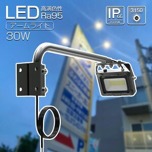 GOODGOODS LED Ŕ  Ɩ 30W 3150lm cŔ 邢 F Ra95 F IP66 h ho ȃGl X|bgCg O Cg Ɩ X  L ̌^A[ HX VX iƖ (LD-K2M)