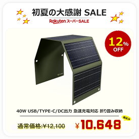 【1,452円割引き】 ソーラーパネル 40W 折り畳み式 軽量 収納便利 ソーラー充電器 太陽光発電 ソーラーチャージャー ソーラー 発電 USB出力 DC Type-C 車中泊 アウトドア iPhone android スマホ充電 地震 災害対策 防災グッズ GOODGOODS TYH-B4W