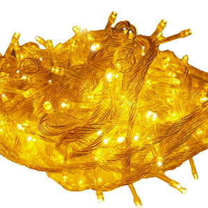 yʏ퉿i1,829~zC~l[V 500 30m hH O NX}X 胉Cg  d Rg[[t C~l[VCg nEB[ NX}Xc[ K[fC