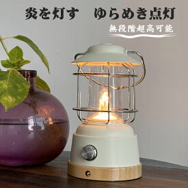 LEDランタン 充電式 無段階調光 炎 ランタン 電球色 2200K スマホ充電 usb レトロ プレゼント 木目調 おしゃれ 雰囲気 インテリア 停電対策 BBQ アンティーク キャンプ ランタン 停電 車中泊 台風 アウトドア 防災 ライト DS-H9E