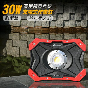 GOODGOODS LED [d 30w 3600lm |[^u Εt USB[d ^ Cg d΍ nk  Lv AEghA R[hX H h dCݔ YC-N8X