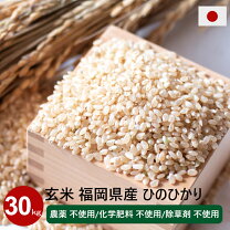 楽天市場】新米 30kg（品種（米）ヒノヒカリ）（玄米｜米・雑穀 