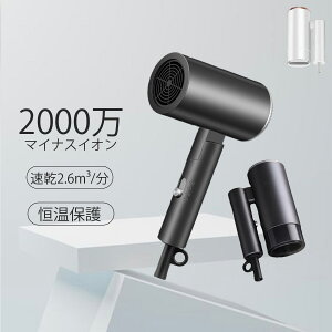 yyV1ʁő45%OFFN[|IzhC[ Xs[fB[CI pt 啗  y M P 2.6m/min啗 ʒ 3iK lC LO gуhC[ R