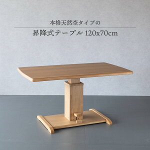 ~e[u 120×70cm Pi  120cm ~ _CjO ~ ؐ IV