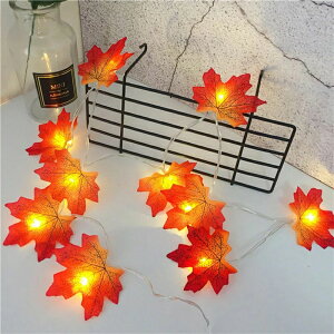 LED �A���r�G���g���C�g �N���X�}�X���C�g���� ���t �g�t�^ �d�r�� 1.5m 2m 3m �C���e���A �e�[�v���C�g �N���X�}�X�c���[���� ����
