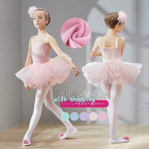 oGI^[h qp Gg[I^[h WjA V̑  \ 5F 8TCY  킢 Vv s[XX