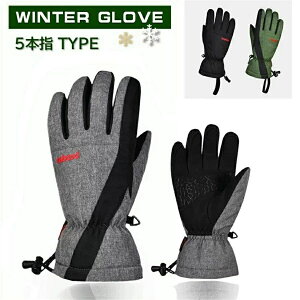 O[u  Xm[{[h XL[ Y fB[X h Xm{ p oCN htB   5{w ̌^  ۉ