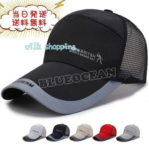 Xq Lbv Y fB[X St bVLbv 싅X ʋCQ S UVJbg X|[c 6F t