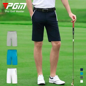 PGM Stn[tpc V[gpc vgp  n y  VɂȂɂ YStpc AEghA StEF