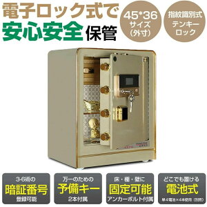 �y�e���L�[���z�y�w�䎯�ʎ��z�I���\ �h�Ƌ��� 60cm �_�C���� �f�W�^������ ��^ �ƒ�p�Ɩ��p �������� ������� �h�Ƒ΍� ����h�~