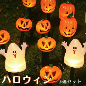 y5AZbgznEB \[[Cg J{` H K[fjO pvL J{`^ C~l[V 뉀 Ő