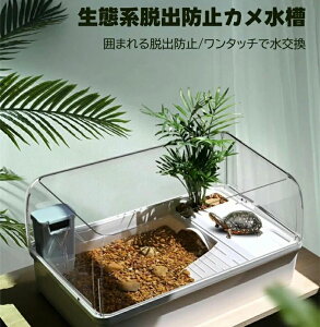 T J JP[X J^N Jn Eoh~tFX ւ֗ VF^[ vbgtH[  B