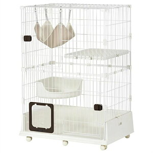 L P[W LbgP[W 2i ybgP[W LX^[t LQ[W ^  lRhA LbgnEX 1i2i\  ی E