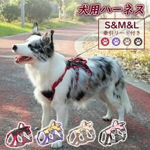 @\n[lX@ n[lX l[  ^ Ȃ ȒP CjV h~ ^ ^ U o AEghA