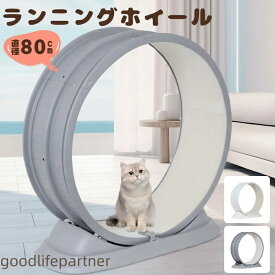 キャットホイール トレッドミル ローラー 静音 低騒音 猫用 ランニングホイール ランニングマシン 80cm 2色 ホイールランナー ペット ホイール 運動不足 爪とぎ ルームランナー 自走式