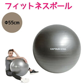 ＼レビューで1000円クーポン!／ vit Fit フィットネスボール 55cm トレーニング フィットネス 腹筋群 バランス ストレッチ エクササイズ ボールバランスボール キャプテンスタッグ CAPTAIN STAG