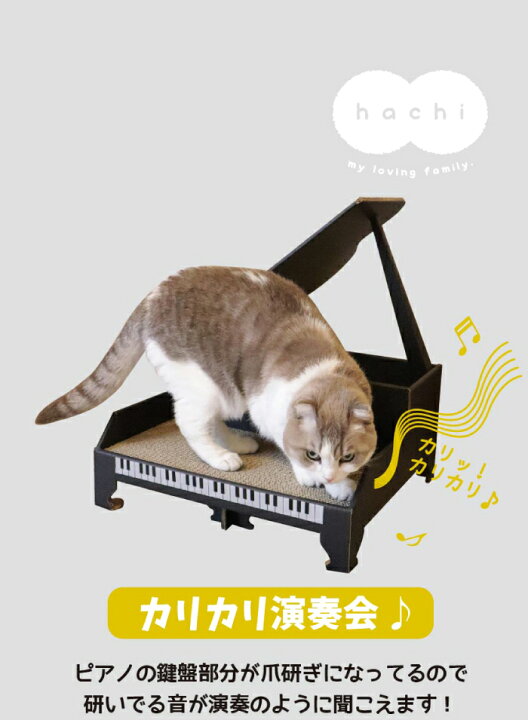 楽天市場】＼レビューで1000円クーポン!／ 【○日本製】にゃんこ 