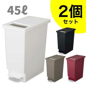 【RD完売】【●日本製】ゴミ箱 45L 2個セット べダル ユニード プッシュ＆ペダル ステンレス製 蓋付き 45リットル ふた付き 分別キッチン ダストボックス スリム 分別ゴミ箱 棚下 カウンター下 縦型 ペダルペール 蓋付き シンプル おしゃれ ごみ箱 45S