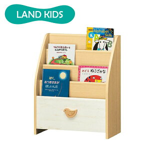 _r[1000~N[|!^ G{bN A^Cv G{I qp [Ƌ keCXg ubNVFt LAND KIDS hLbY