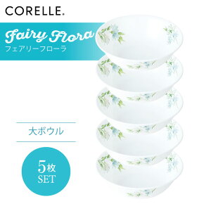 CORELLE R[ tFA[t[ {E 5Zbg 3w\ EKX Čy ϋv Ռ ϑw KX  H pX^M T_ fU[g J[ M H Jt
