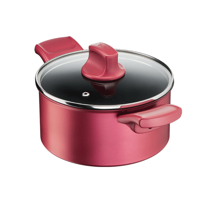 T-fal IH シチューポット カフェノワール・アンリミテッド 24cm