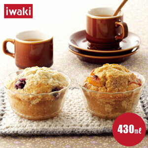 iwaki JX^[hJbv 430ml 1 ϔMKX H M mH  e[uEFA I[uEFA  H KX Jbv pEhP[L P[L X|W v َq   JtF 