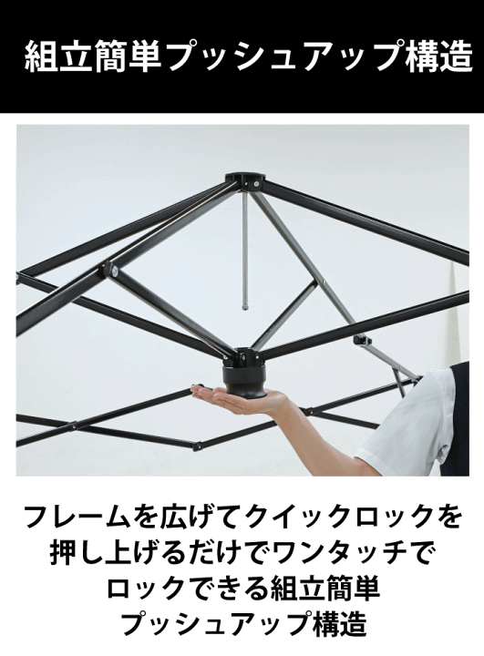 楽天市場】＼レビューで1000円クーポン!／ CSブラックラベル クイック