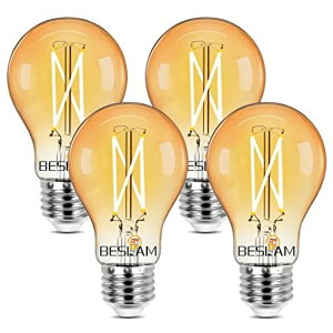 BESLAMLEDdtBgdΉE2660W`dF2700K806lmLEDGW\dGW\vGW\ouNXtBggAo[KXS^CvȃGc