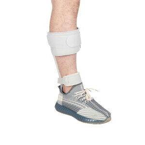 ProWildGeartbghbvz[tbgPA̔]T|[^[EFAuV[Y(R-L)