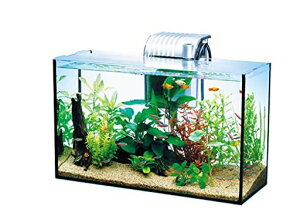 eg(Tetra)KXI[OXANAEGA-420FMы_J