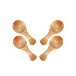 4̏Ȗؐ̉Xv[\bhEbhXv[IR[q[W}X^[hACXN[~N({F)