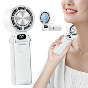 nfBt@pv[gy2025V^fE1SuԗpE20dBÉzڌgѐ@⊴莝@nfB@Type-C}[dԉғN[[@\jt@MǑ΍USB[dc