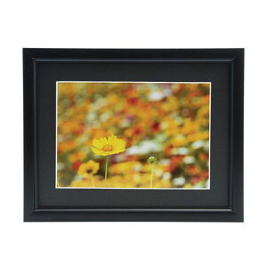 FUJICOLORA~zA33Lrl2LubN306716