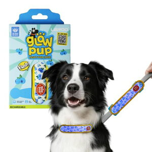 LaRoo�����֌��U�����C�gUSB�[�d����Ԃ̈ړ��΍􎋔F��3�̔������[�h(�K�������A��ցA���[�h�A���p�n�[�l�X)�y��22g�����^�E���^���p�y�b�g�p�i(�u���[�x���[)