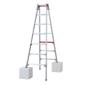 ���J��H��(Hasegawa)�͂������p�r���r���L�kRYR-21a7��1.91~2.22m(10904)