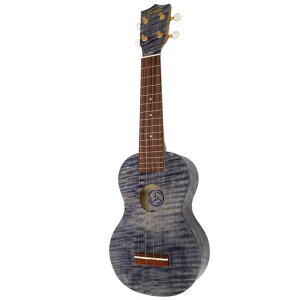 yFamouszFS-S10/BKubN\vmEN(YTe)