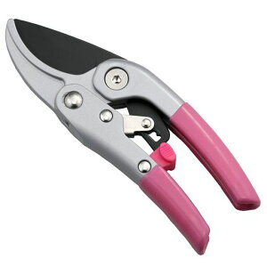 Z[uEC_Xg[4i`FbgX[YnT~