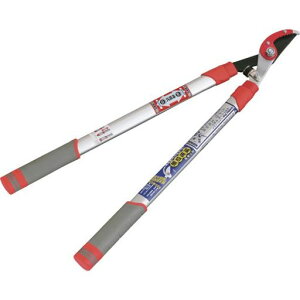 L{V(Kinboshi)GS()V^A~GbWtLk}2043L