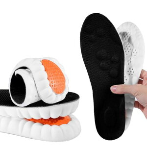 C\[_炩fނӂӂՌzƓy܂ی엧dX|[c퐶ʋCV[YC~(ubNS(23.5-24cm))