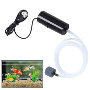 BLOOPICGA|vUSBق̎_f|vyʐÉ|[^u֗Ȏ_f^|vAفAނpGA[|v(zCg)