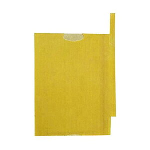 F{Xʎ܂Ȃ\IȂpK-1350