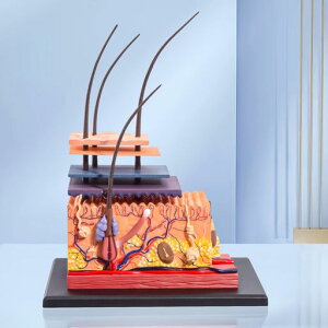 APHRODITE畆͌^70{gl̔畆\\