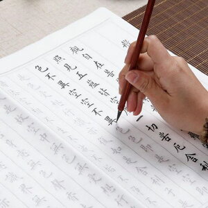 YANYULIʎSoʌopZbg20Ȃ菑{t傫TCY