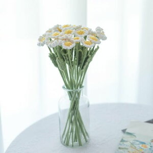 seimeinokifCW[Ԗю̉10֒40cmj҂ݐlHqiMNitFCNfCW[͂ȂԂ킢lHϗtA҂݉ԑeԏ҂݃u[PCeAac