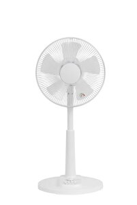 �d����(Denkyosha) ���J�����r���O��@ 5���H�� ������U�� �R�ۉ��H ZFL-A1EC