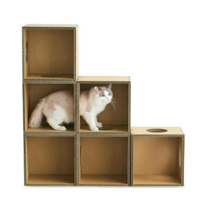 Lbg^[LbgnEXLϋvi{[CeAꐘug{Lbg{bNX6Zbg