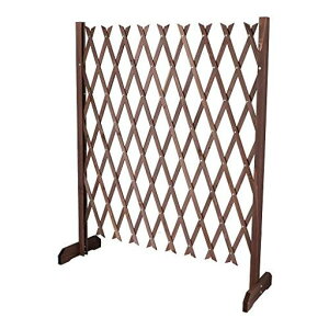 R[iIWiLIFELEXؐLktFX120cmKT09-1986